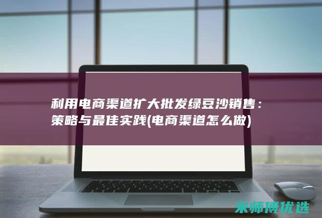 利用电商渠道扩大批发绿豆沙销售：策略与最佳实践 (电商渠道怎么做)