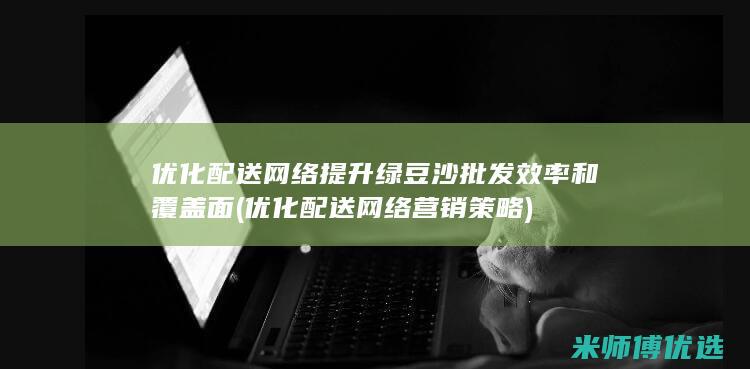 优化配送网络提升绿豆沙批发效率和覆盖面 (优化配送网络营销策略)