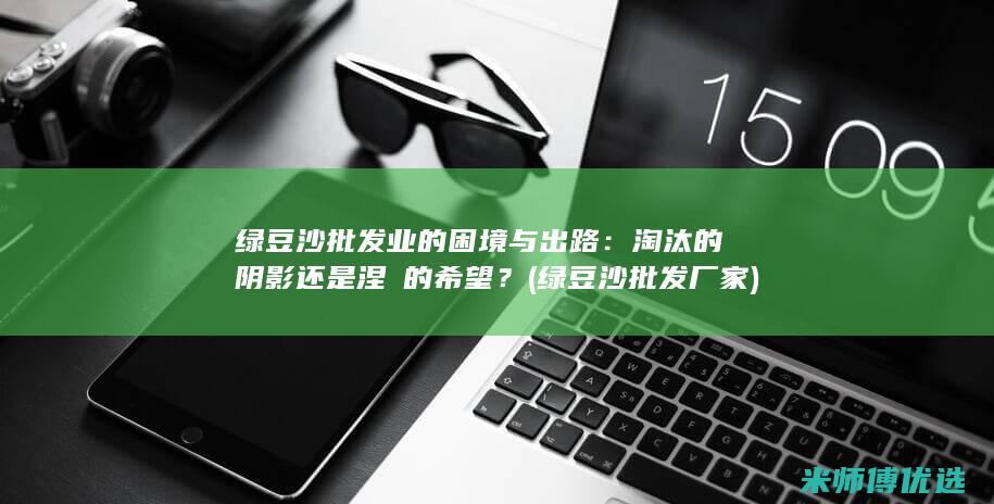 绿豆沙批发业的困境与出路：淘汰的阴影还是涅槃的希望？ (绿豆沙批发厂家)