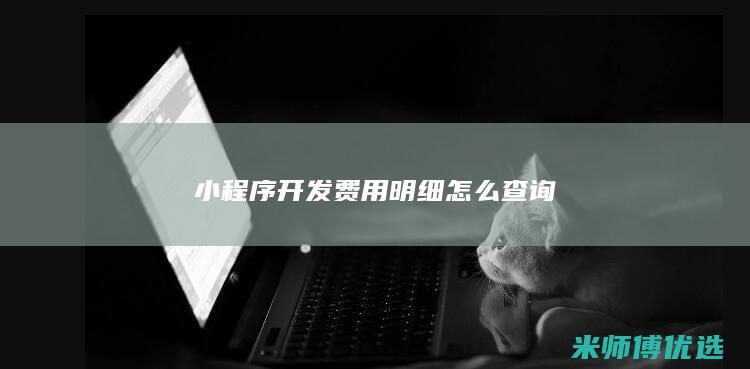 小程序开发费用明细怎么查询