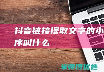 抖音链接提取的小程序叫什么