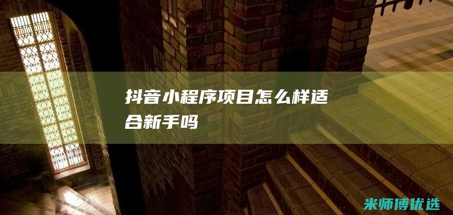 抖音小程序项目怎么样适合新手吗