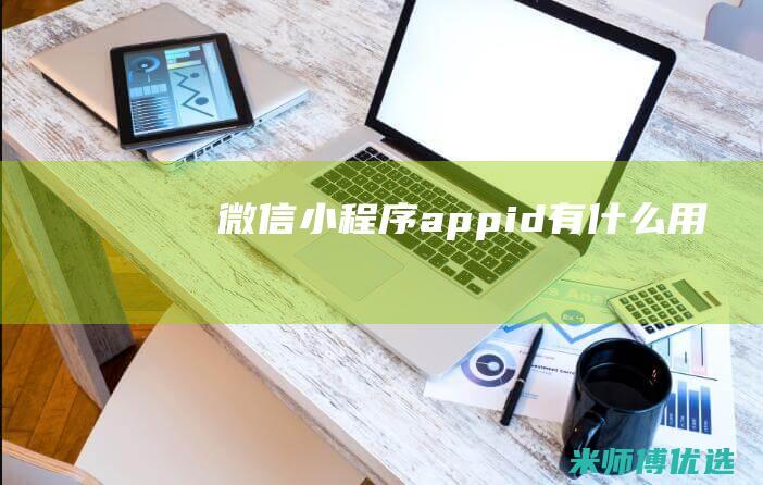 微信小程序appid有什么用