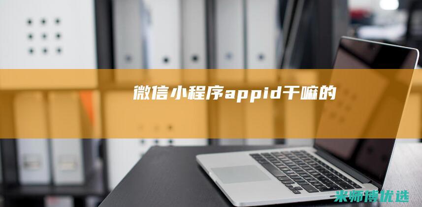 微信appid干嘛的