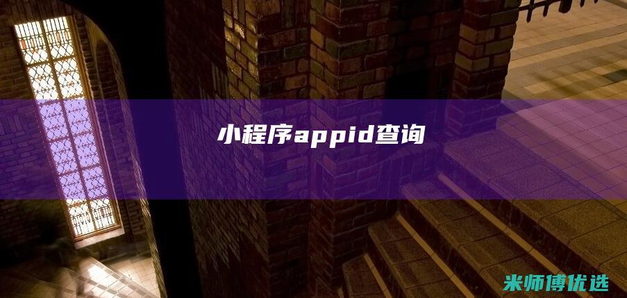 小程序appid查询