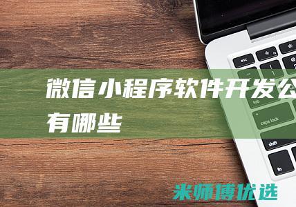 微信小程序软件开发公司有哪些