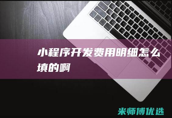 小程序开发费用明细怎么填的啊