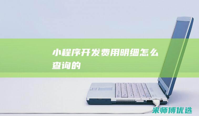 小程序开发费用明细怎么查询的