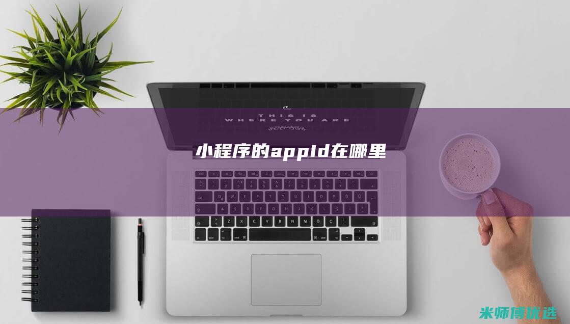 小程序的appid在哪里