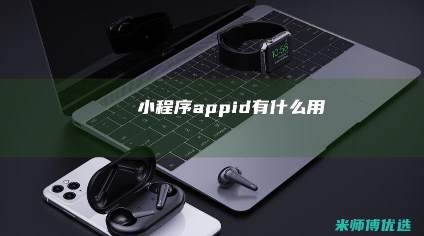 小程序appid有什么用