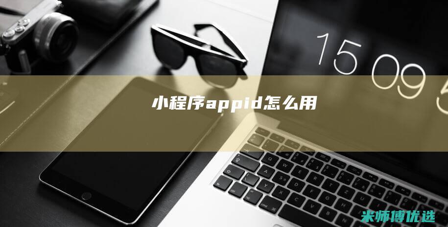 小程序appid怎么用