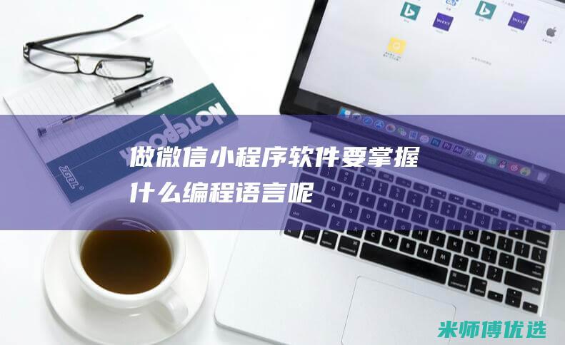 做微信小程序软件要掌握什么编程语言呢