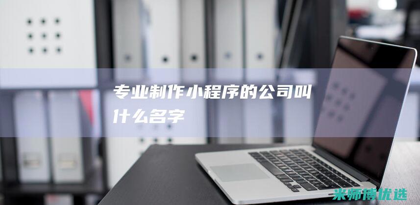 专业小程序的公司叫什么名字