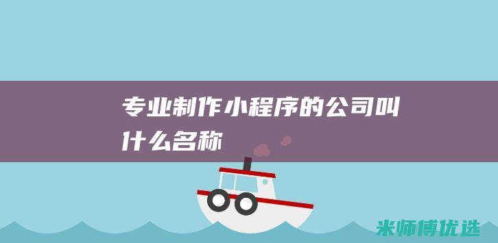 专业制作小程序的公司叫什么名称