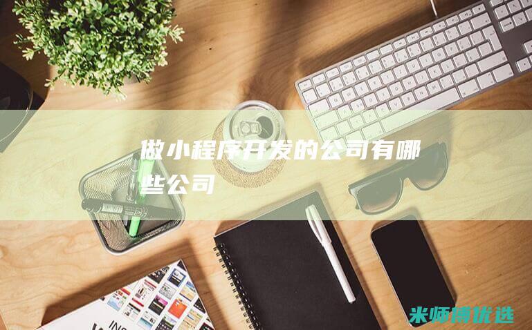 做小程序开发的公司有哪些公司