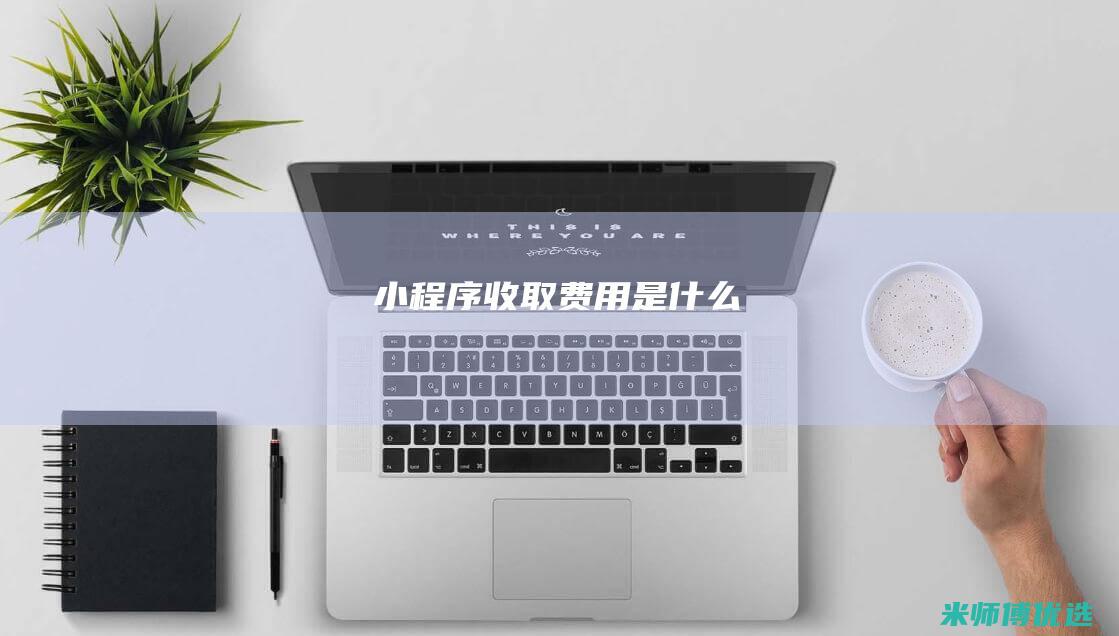 小程序收取费用是什么